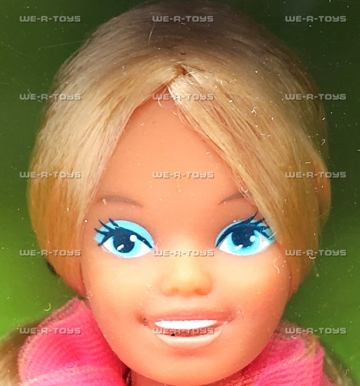 Skipper Island Fun Barbie Doll 1987 Mattel #4064 - We-R-Toys
