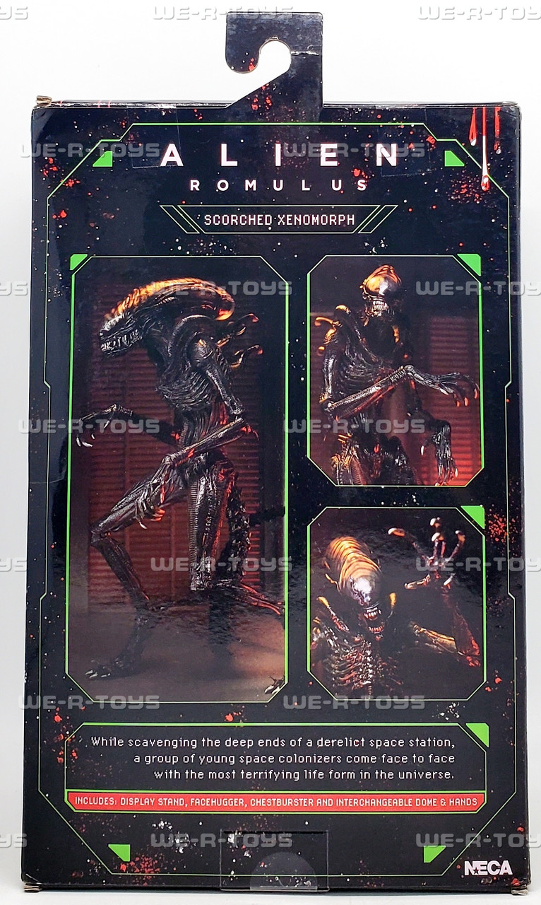 Alien Romulus Movie Scorched Xenomorph 7