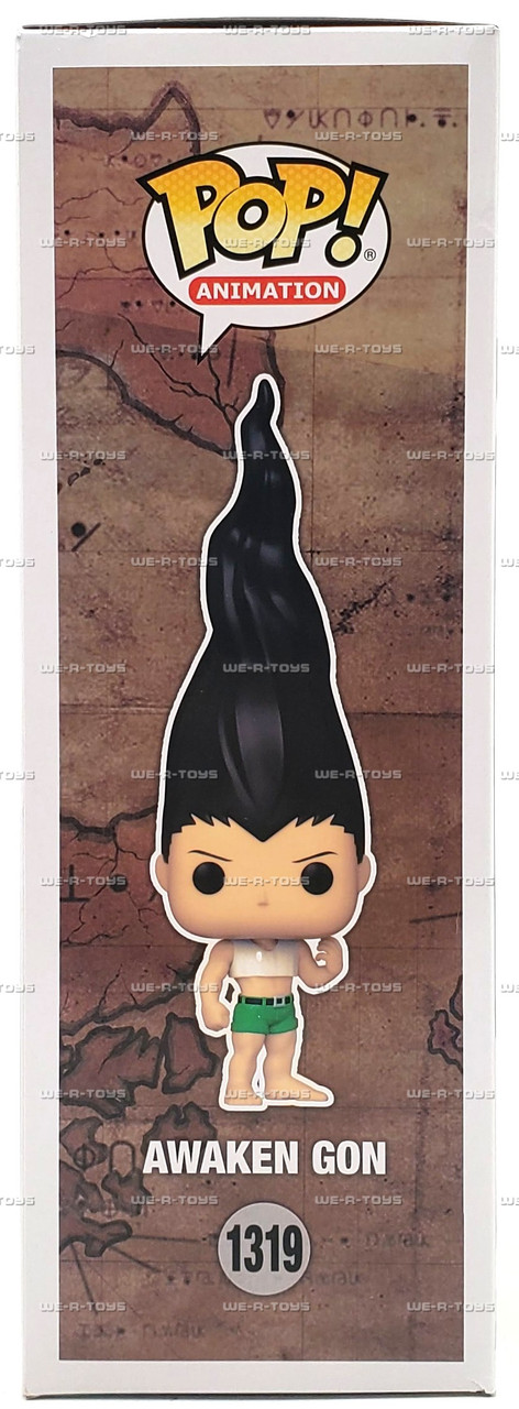 Funko Pop! Animation Hunter X Hunter Awaken Gon 2023 Summer