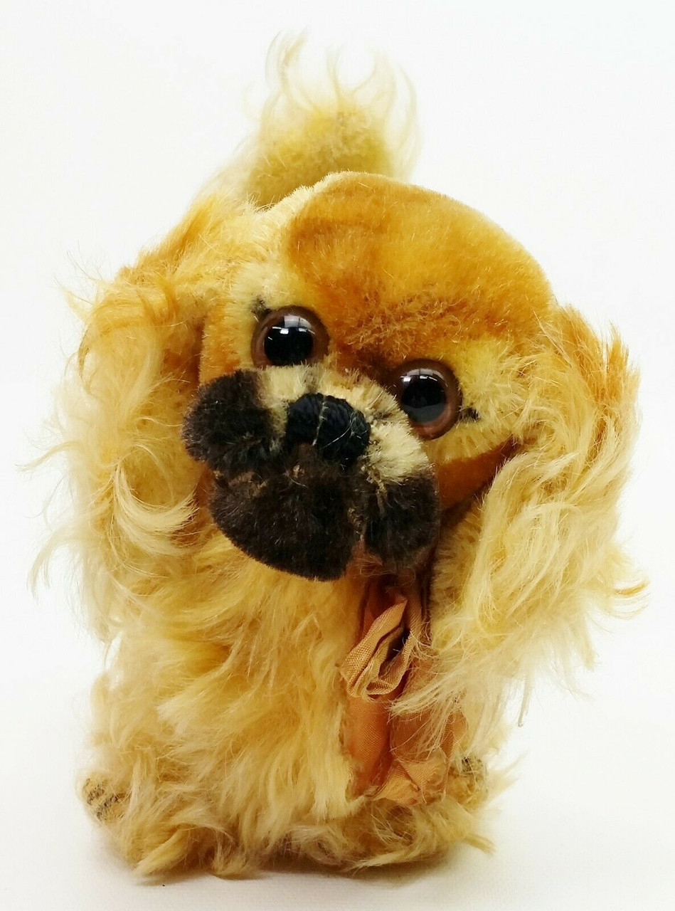 teddy bear pekingese