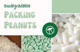 Eco-Friendly Packaging Upgrade: Our Switch to Biodegradable Packing Peanuts