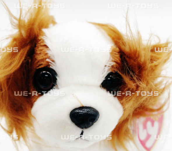 Ty Beanie Baby Regal the King Charles Spaniel Dog 7 inch Plush 2001 New w/ Tags
