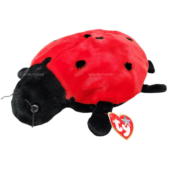 Ty Buddy Lucky the Ladybug Plush