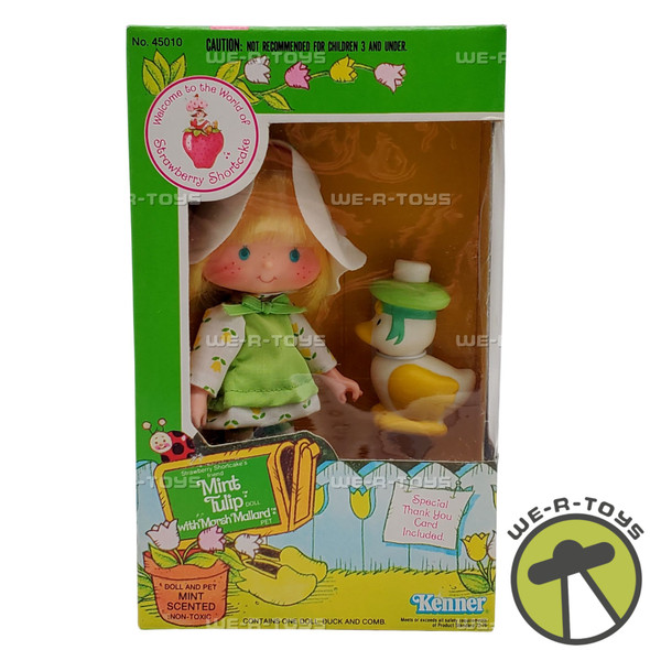 Strawberry Shortcake Mint Tulip Doll with Marsh Mallard Pet 1982 Kenner #44010