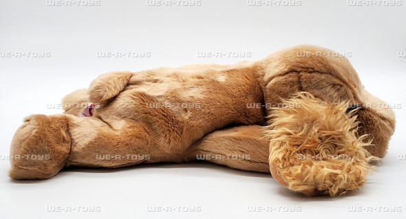 Ty Beanie Buddies Spunky the Cocker Spaniel Plush 2001