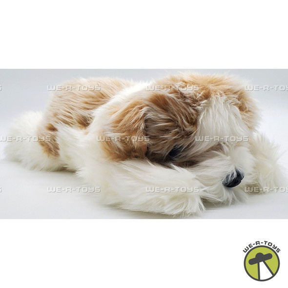 Ty Beanie Classics Perkins the Dog Plush