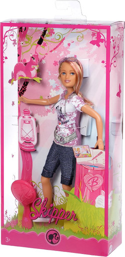 Barbie Camping Fun Ken Doll : Toys & Games 