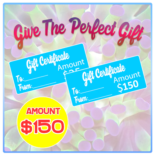 Aqua SD Gift Certificate ($150)