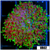 Nuclear Fuzzy Mushroom