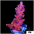 BC Unicorn Bubble Bath Acropora