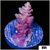Strawberry Tort Acropora