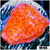 Orange Phoenix Montipora