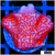 Red Montipora Digitata