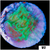 JF Cold Fusion Montipora