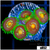 ASD Daisy Cutter Zoanthids