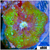 Teal Spotted Discosoma