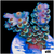 ASD Rainbow Tenuis Acropora