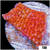 Orange Phoenix Montipora