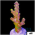 Bumblebee Tort Acropora