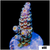 Rainbow Fusion Tenuis Acropora