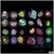 MULTIPLES AVAILABLE - Big Boy Pack - 24 Assorted LPS and Softie Frags
