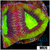 Dragon Soul Favia - 40397CF44