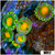 Gator Eyes Zoanthids - 4064C5D04