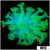 Nuclear Alveopora - 4040F8074