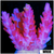 Strawberry Tort Acropora - 4034CF3F4