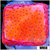 Juggernaut Montipora - 40479C584