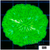 Multiples Available Nuclear Plate Coral