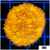 Multiples Available Orenji Eye Plate Coral
