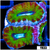 UFO Acan Lord