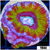 UFO Acan Lord