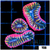 Bubblegum Rim Lobophyllia