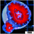 Teal Claw Acan Lord