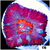 Pink Peppermint Acan Lord