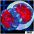 Teal Claw Acan Lord