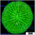 Nuclear Plate Coral