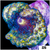 Meteor Discosoma