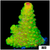 Heavenly Glow Acropora