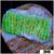 Nuclear Plating Monti