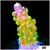 Paletta Pink Tips Acropora