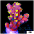 Golden Tipped Tort Acropora