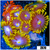 Combo Zoanthids