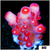 ASD Cherry Blossom Acropora