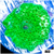 Nuclear Discosoma Mushroom