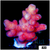 Sugar Rush Tort Acropora
