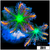 Firework Clove Polyps
