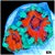 Teal Claw Acan Lord